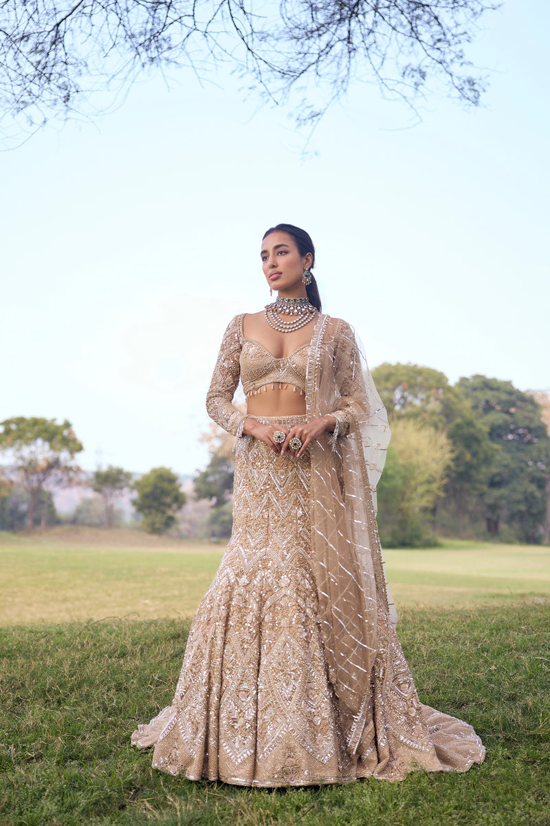 Golden Dusk Lehenga