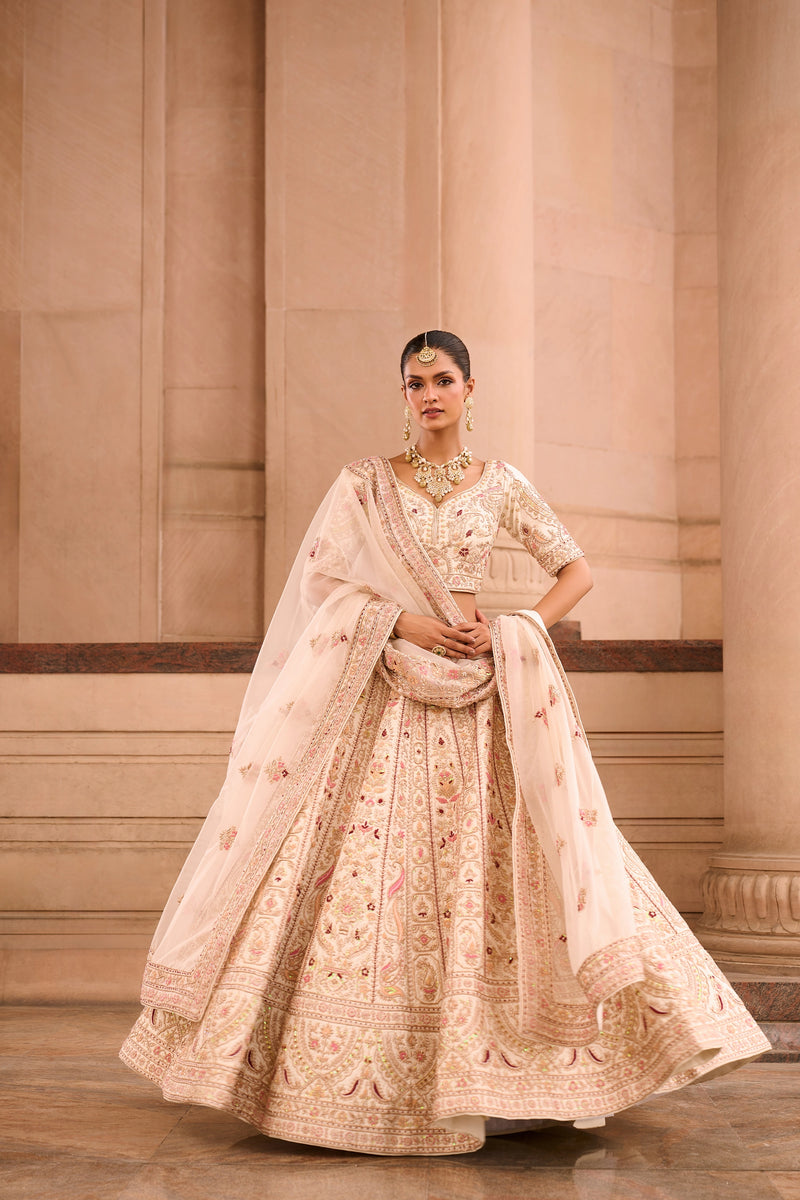 Regal Blush Elegance Lehenga